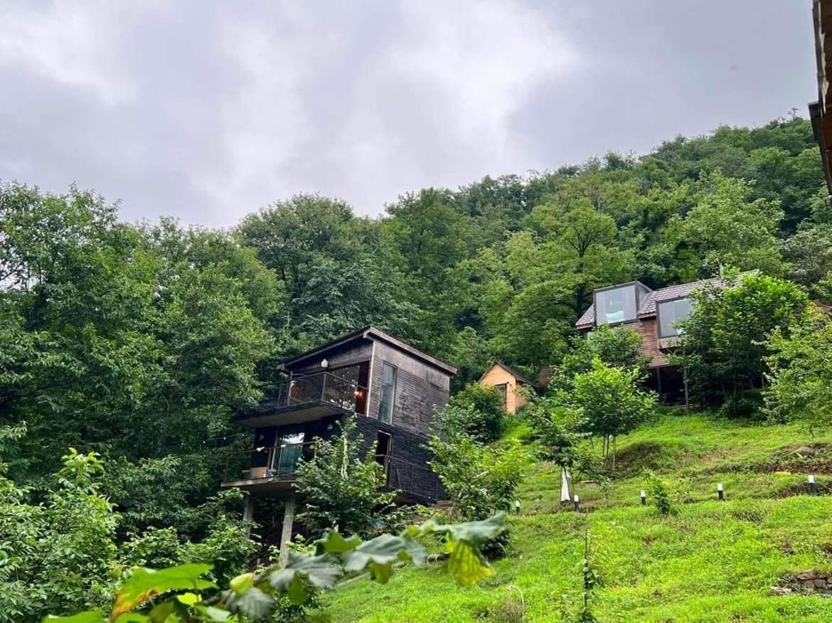 Woodpecker Georgia Ξενοδοχείο Μπατούμι Εξωτερικό φωτογραφία