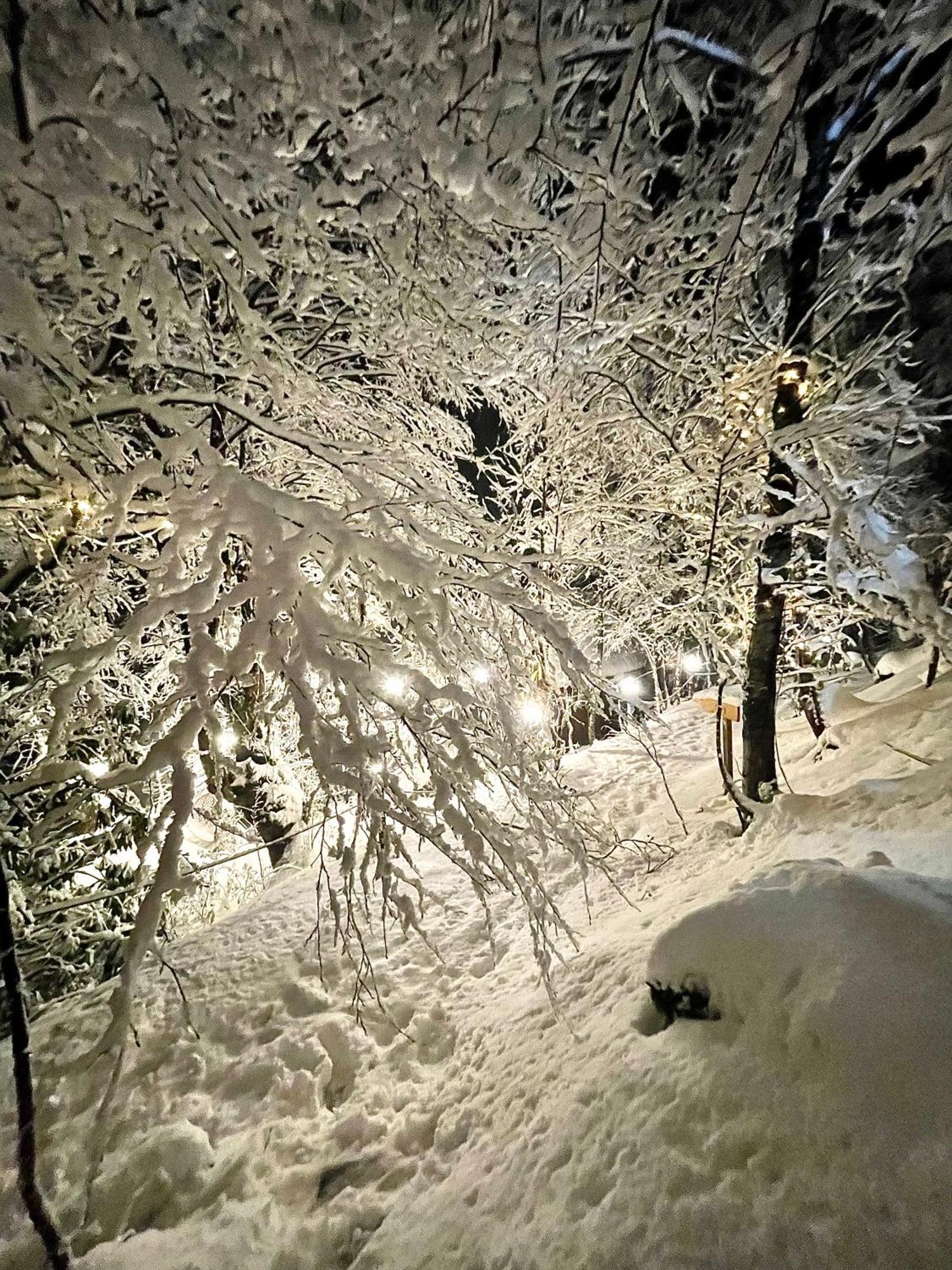 Woodpecker Georgia Ξενοδοχείο Μπατούμι Εξωτερικό φωτογραφία